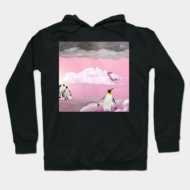 Dawn In The Antarctic Hoodie by CDFRandomosity